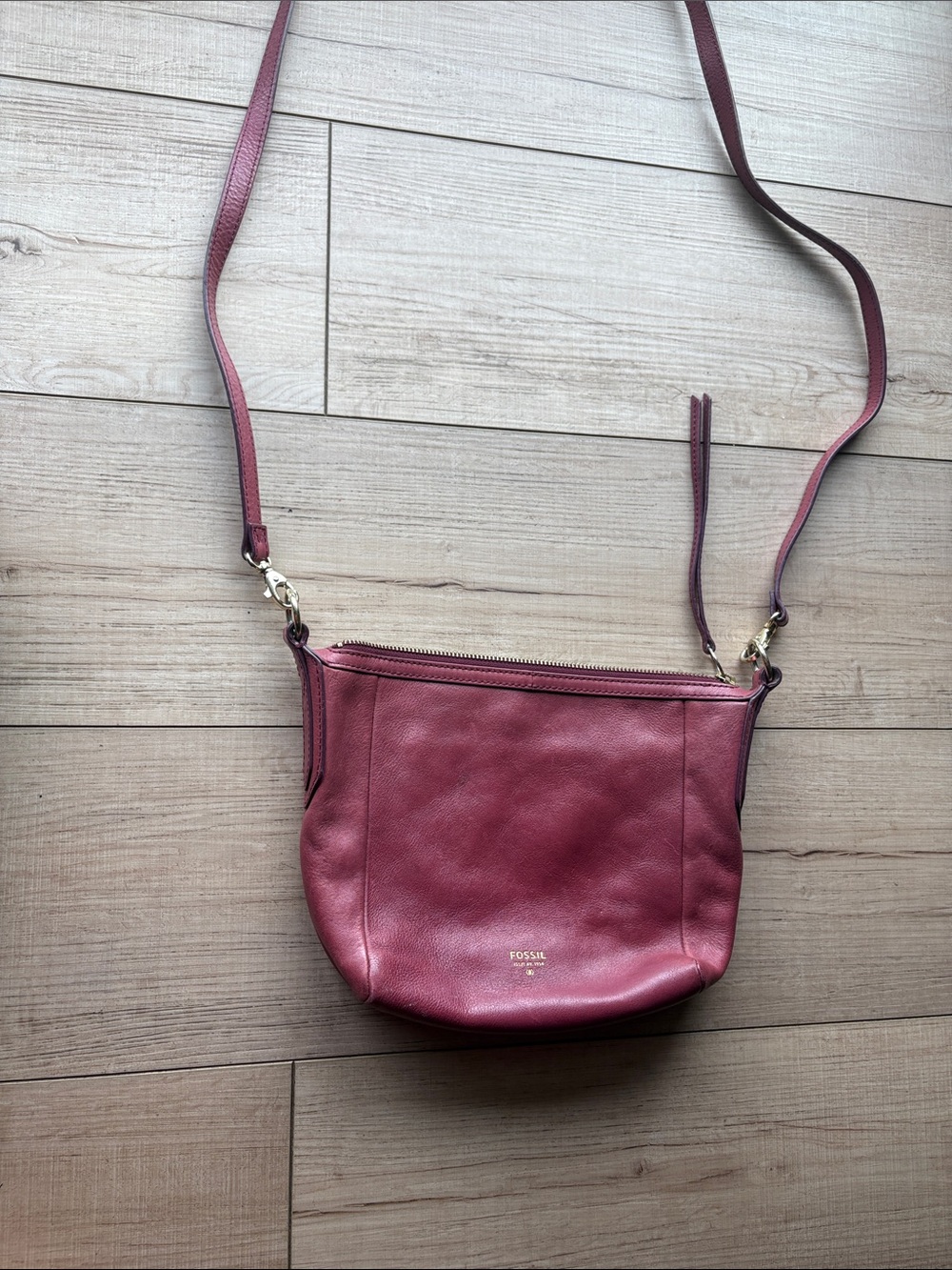 Fossil bag